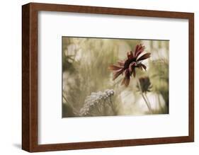 Whisper on the Wind-David Lorenz Winston-Framed Art Print