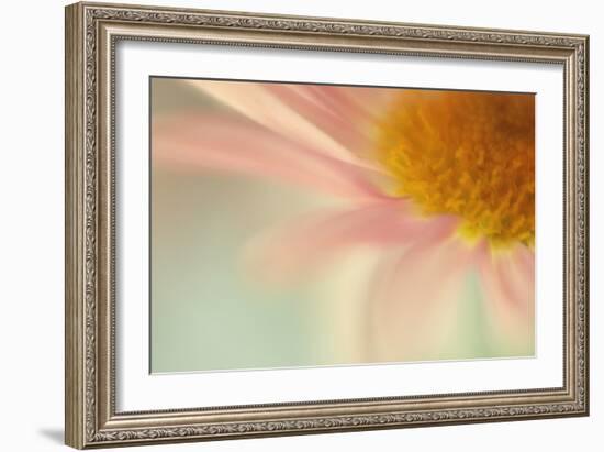 Whisper-Judy Stalus-Framed Photographic Print