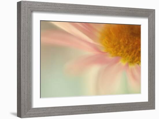 Whisper-Judy Stalus-Framed Photographic Print