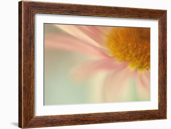 Whisper-Judy Stalus-Framed Photographic Print