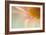 Whisper-Judy Stalus-Framed Photographic Print