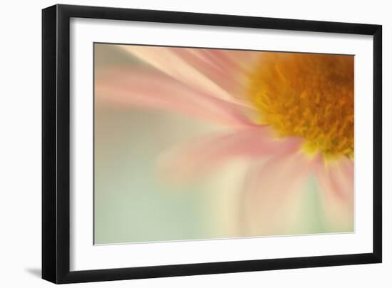 Whisper-Judy Stalus-Framed Photographic Print