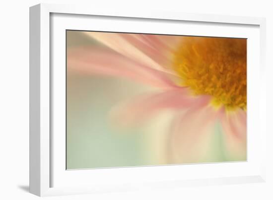 Whisper-Judy Stalus-Framed Photographic Print