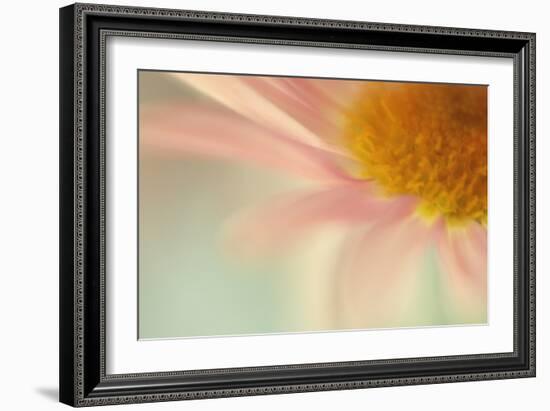 Whisper-Judy Stalus-Framed Photographic Print