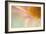 Whisper-Judy Stalus-Framed Photographic Print