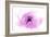 Whisper-Jacky Parker-Framed Giclee Print