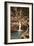 Whispering Falls, Watkins Glen, New York-null-Framed Art Print