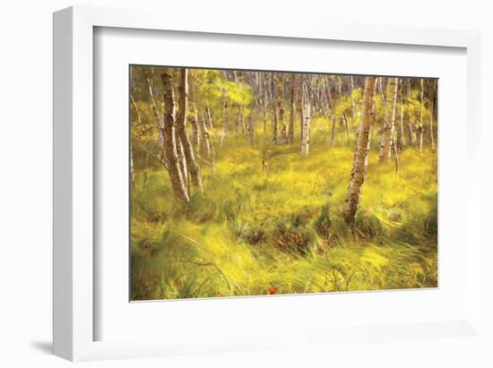 Whispering Grass-Michael Hudson-Framed Giclee Print