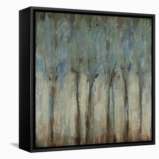 Whispering Winds-Liz Jardine-Framed Stretched Canvas