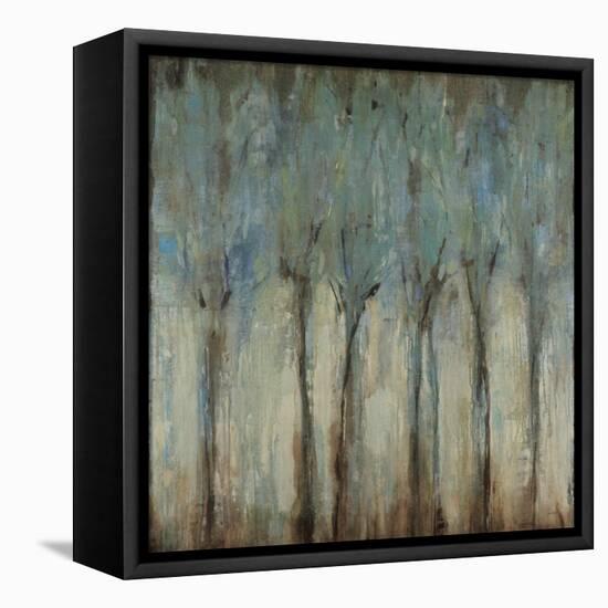 Whispering Winds-Liz Jardine-Framed Stretched Canvas