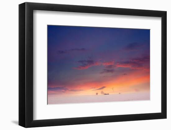 Whispers in the Sky-Philippe Sainte-Laudy-Framed Photographic Print