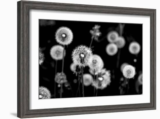 Whispers of Spring-Henriette Lund Mackey-Framed Photographic Print