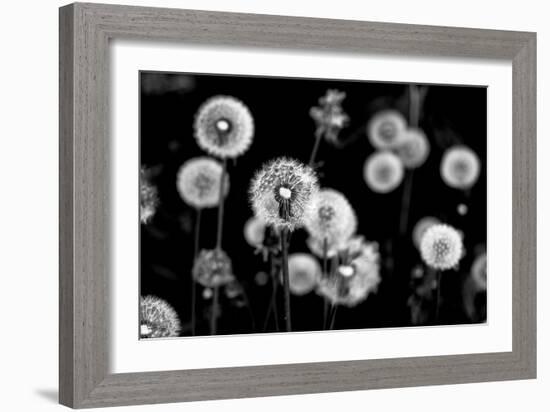 Whispers of Spring-Henriette Lund Mackey-Framed Photographic Print