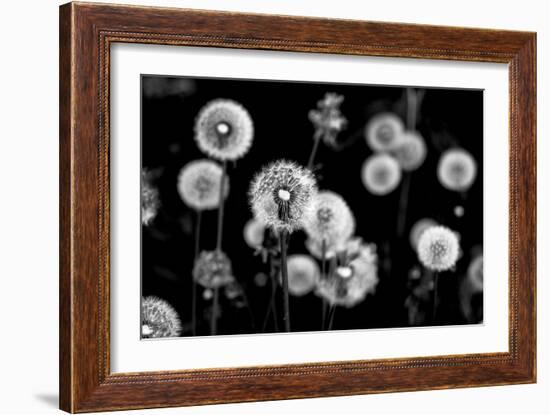 Whispers of Spring-Henriette Lund Mackey-Framed Photographic Print