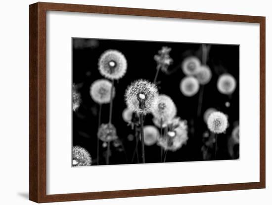 Whispers of Spring-Henriette Lund Mackey-Framed Photographic Print