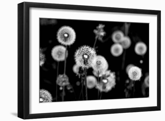 Whispers of Spring-Henriette Lund Mackey-Framed Photographic Print