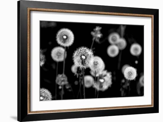 Whispers of Spring-Henriette Lund Mackey-Framed Photographic Print