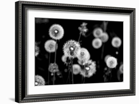 Whispers of Spring-Henriette Lund Mackey-Framed Photographic Print