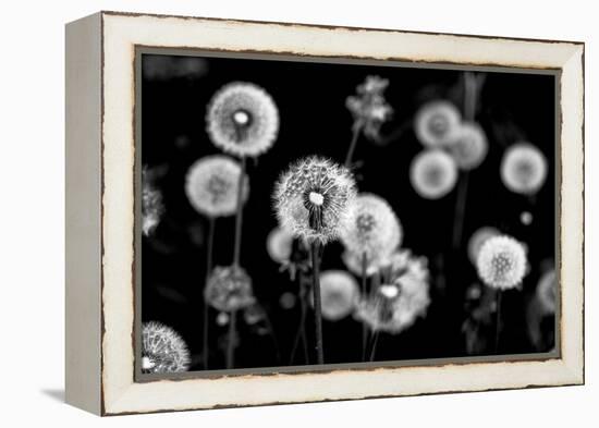 Whispers of Spring-Henriette Lund Mackey-Framed Premier Image Canvas