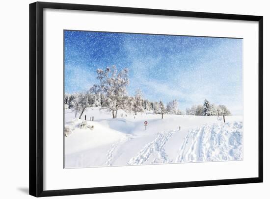 Whispers on the Wind-Philippe Sainte-Laudy-Framed Photographic Print