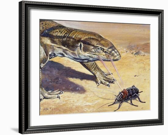 Whistle Cricket (Eugaster Spinulosa), Tettigoniidae, Drawing-null-Framed Giclee Print