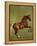 Whistlejacket, 1762-George Stubbs-Framed Premier Image Canvas