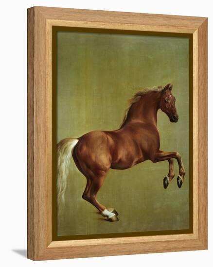 Whistlejacket, 1762-George Stubbs-Framed Premier Image Canvas