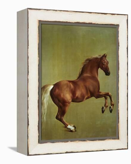 Whistlejacket, 1762-George Stubbs-Framed Premier Image Canvas