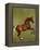 Whistlejacket, 1762-George Stubbs-Framed Premier Image Canvas