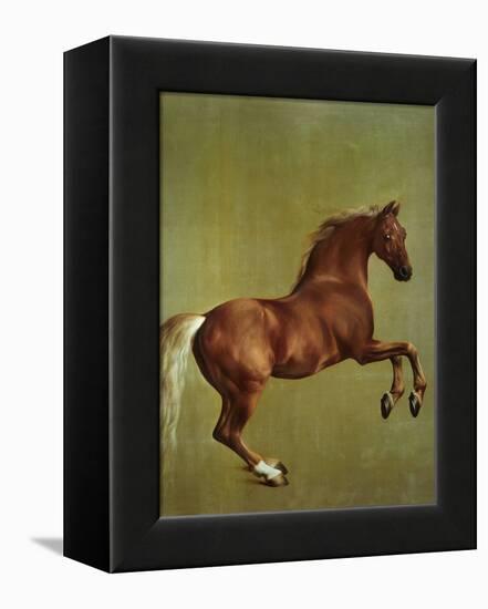 Whistlejacket, 1762-George Stubbs-Framed Premier Image Canvas