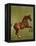 Whistlejacket, 1762-George Stubbs-Framed Premier Image Canvas