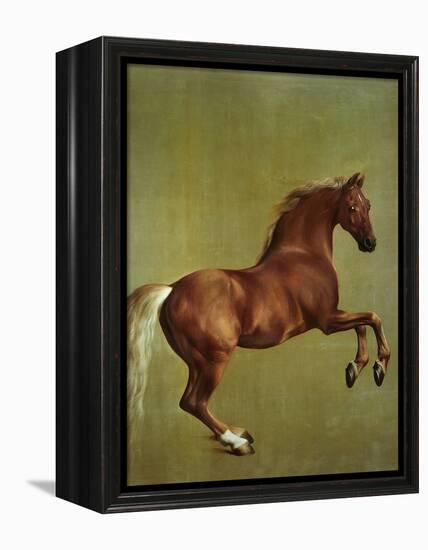 Whistlejacket, 1762-George Stubbs-Framed Premier Image Canvas