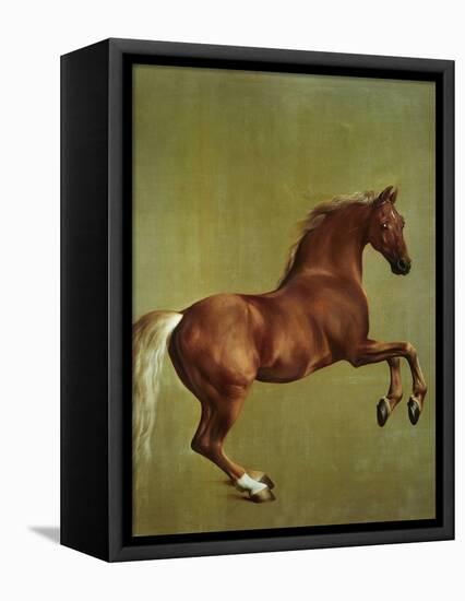 Whistlejacket, 1762-George Stubbs-Framed Premier Image Canvas