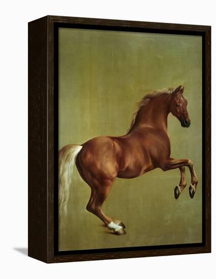 Whistlejacket, 1762-George Stubbs-Framed Premier Image Canvas