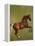 Whistlejacket, 1762-George Stubbs-Framed Premier Image Canvas