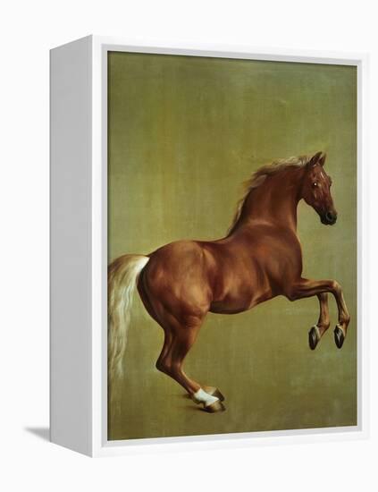 Whistlejacket, 1762-George Stubbs-Framed Premier Image Canvas