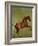 Whistlejacket, 1762-George Stubbs-Framed Premium Giclee Print