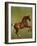 Whistlejacket, 1762-George Stubbs-Framed Premium Giclee Print