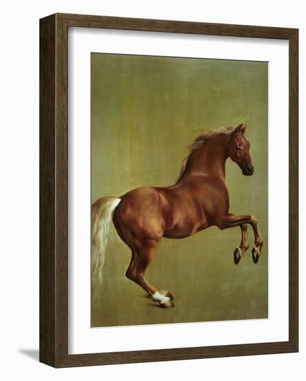 Whistlejacket, 1762-George Stubbs-Framed Premium Giclee Print