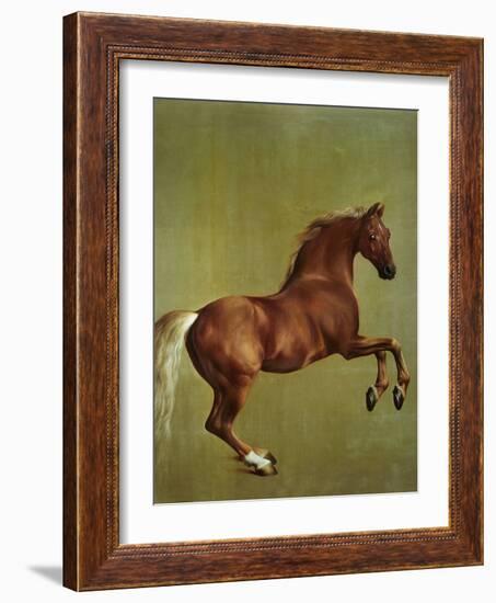 Whistlejacket, 1762-George Stubbs-Framed Premium Giclee Print