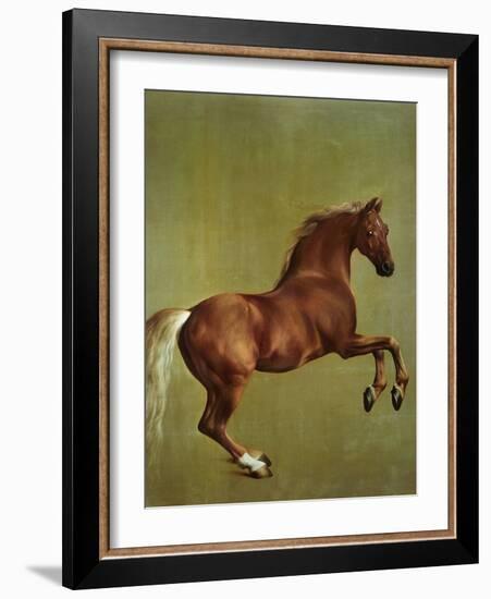 Whistlejacket, 1762-George Stubbs-Framed Premium Giclee Print