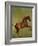 Whistlejacket, 1762-George Stubbs-Framed Giclee Print