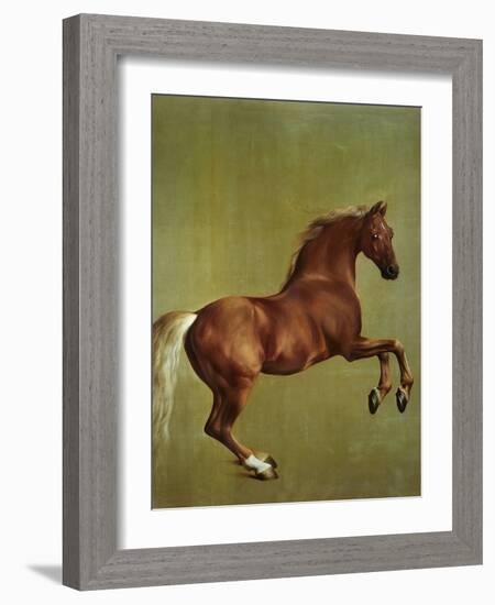 Whistlejacket, 1762-George Stubbs-Framed Giclee Print