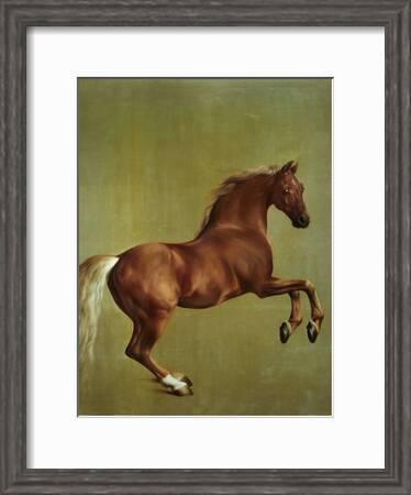 Whistlejacket by George Stubbs on Framed Canvas Pictures City Artwork Prints