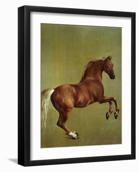 Whistlejacket, 1762-George Stubbs-Framed Giclee Print