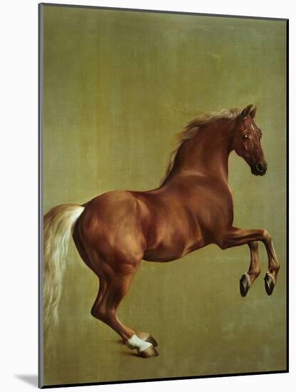 Whistlejacket, 1762-George Stubbs-Mounted Giclee Print