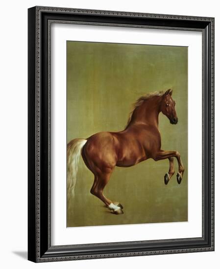 Whistlejacket, 1762-George Stubbs-Framed Giclee Print