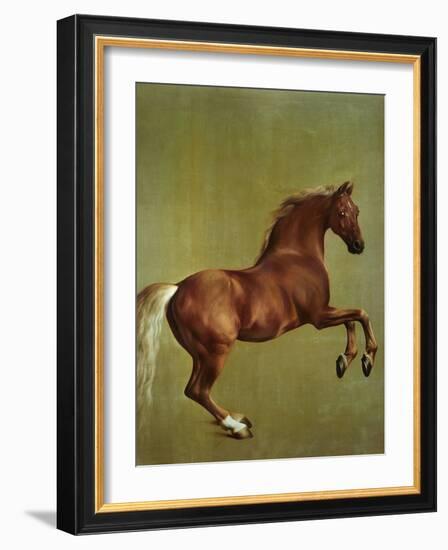 Whistlejacket, 1762-George Stubbs-Framed Giclee Print