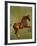 Whistlejacket, 1762-George Stubbs-Framed Giclee Print