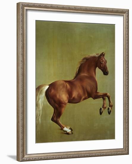 Whistlejacket, 1762-George Stubbs-Framed Giclee Print